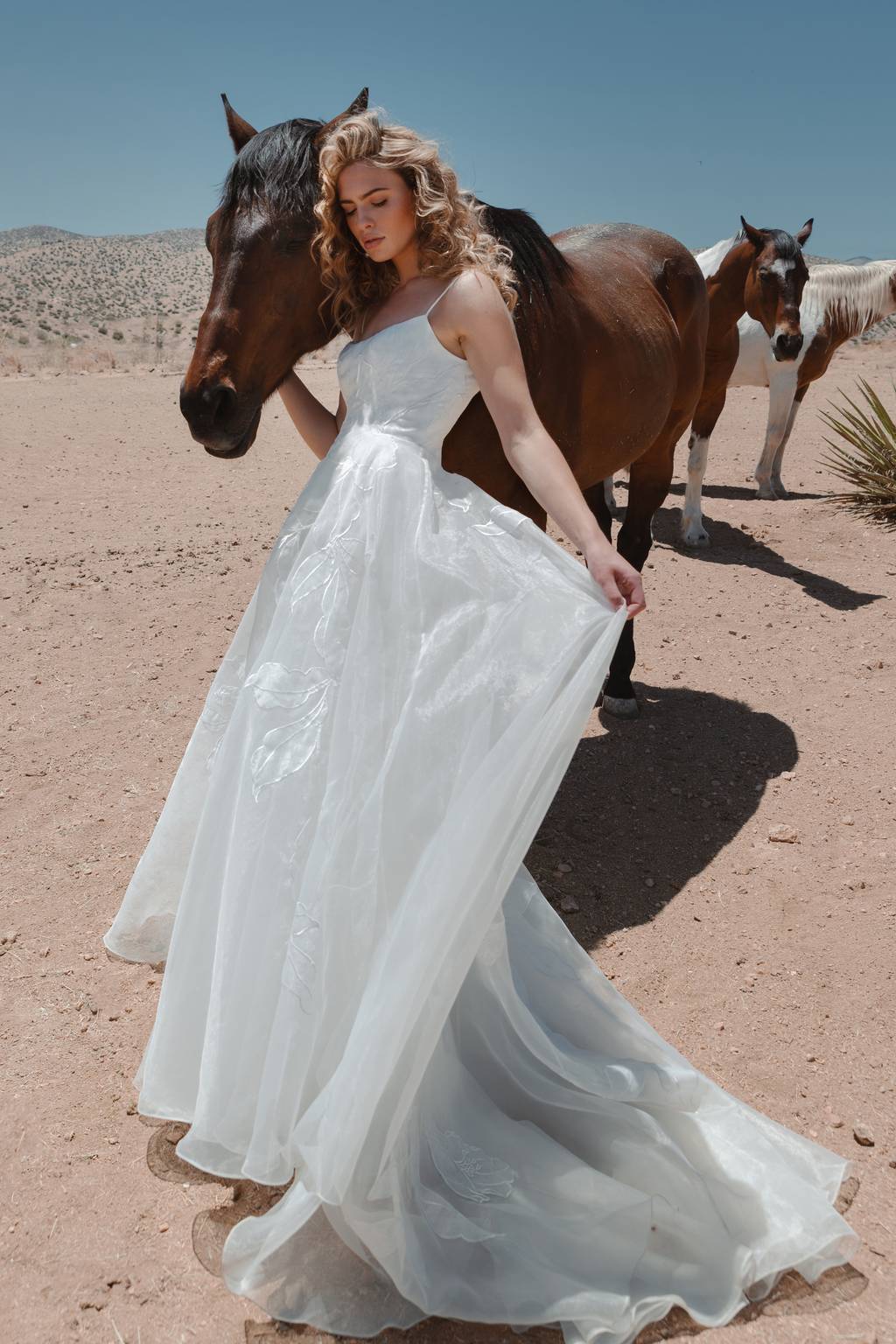 Jenny_by_Jenny_Yoo_Wedding_Dress_Abernathy 3900 Jenny_by_Jenny_Yoo_Wedding_Dress_Abernathy 3900